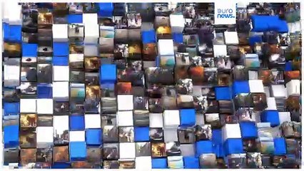 Bulle als Beifahrer im Auto auf dem Highway - diese Fotos gehen viral