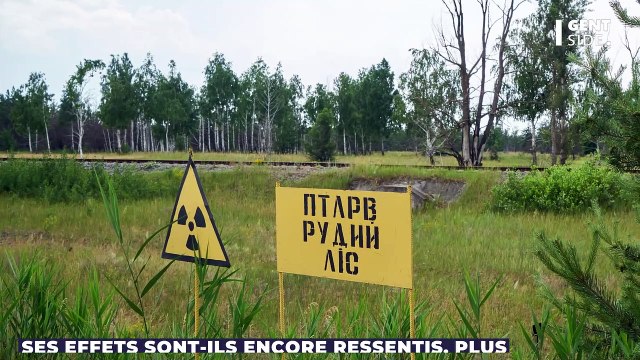 Des sangliers radioactifs impropres à la consommation détectés en Europe