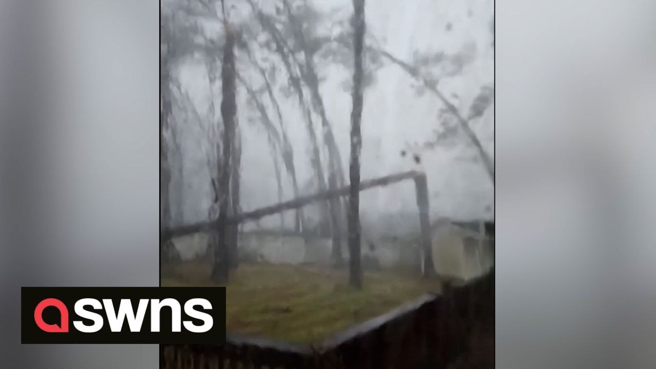 Terrifying moment tree falls on house as Hurricane Idalia rocks Florida