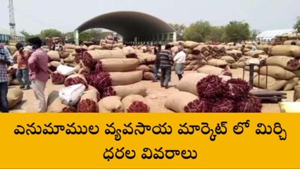 వరంగల్: ఎర్ర బంగారానికి పెరుగుతున్న ధరలు