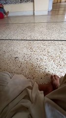 jummy ki nmaz sy pehly byan zarir duny or share bhi karen