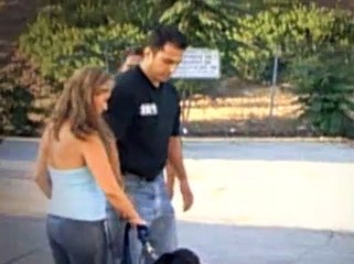 The Dog Whisperer Season 1 Episode 9 Churchill And Maya (Raging Rottie! Part 2)