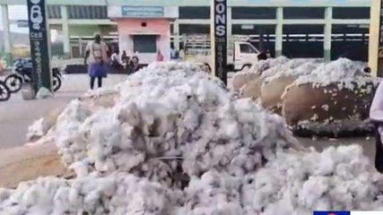 కర్నూలు జిల్లా: పత్తి రైతులకు గుడ్ న్యూస్