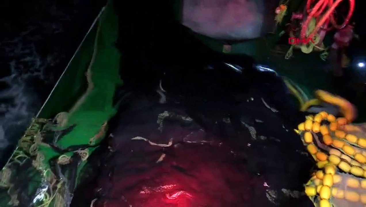 L'INTERDICTION DE LA CHASSE EST TERMINÉE, LES PREMIÈRES ENCHÈRES ONT EU LIEU AU MARCHÉ AUX POISSONS DE GÜRPINAR