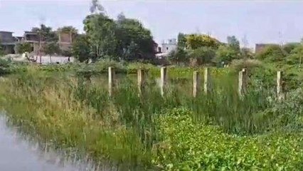 रायबरेली: बाढ़ के चलते किसानों की फसल पूरी तरह से हुई जलमग्न