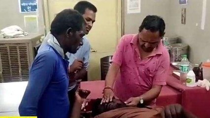 दमोह: आवारा मवेशियों से टकराए बाइक सवार, हादसें में 3 लोग घायल