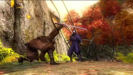 Ninja Gaiden Sigma online multiplayer - ps3