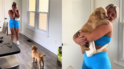 Man Surprises Fiancée With an ADORABLE PUPPY