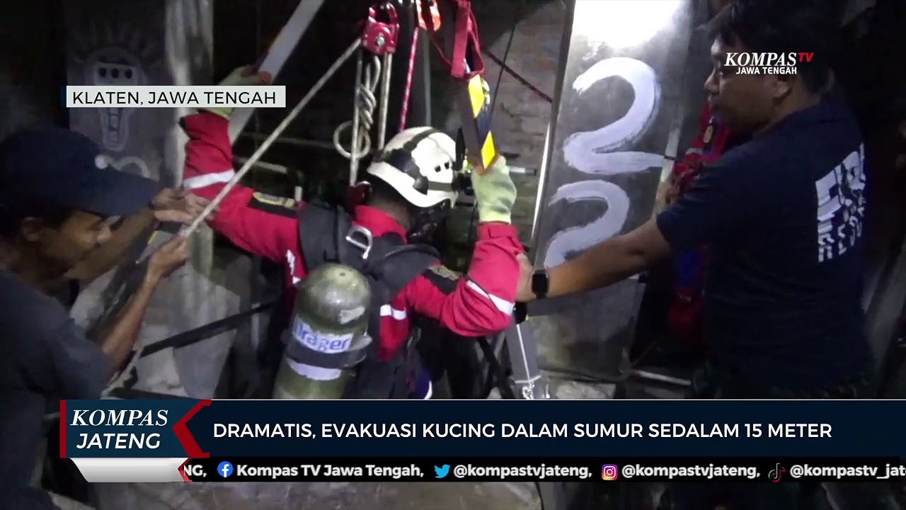 Dramatis, Evakuasi Kucing Dalam Sumur Sedalam 15 Meter