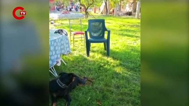 Kayıp Ekonomist Korhan Berzeg olayında duygu dolu anlar: Tina ile Angela 77 gün sonra kavuştu...