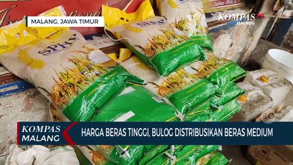 Tải video: Tekan Harga Beras Yang Tinggi, Bulog Malang Distribusikan Beras Medium ke Pasar Tradisional