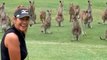 Vídeo fofo: cangurus interrompem partida de golfe na Austrália