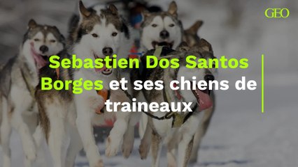 Sebastien Dos Santos Borges et ses chiens de traineaux