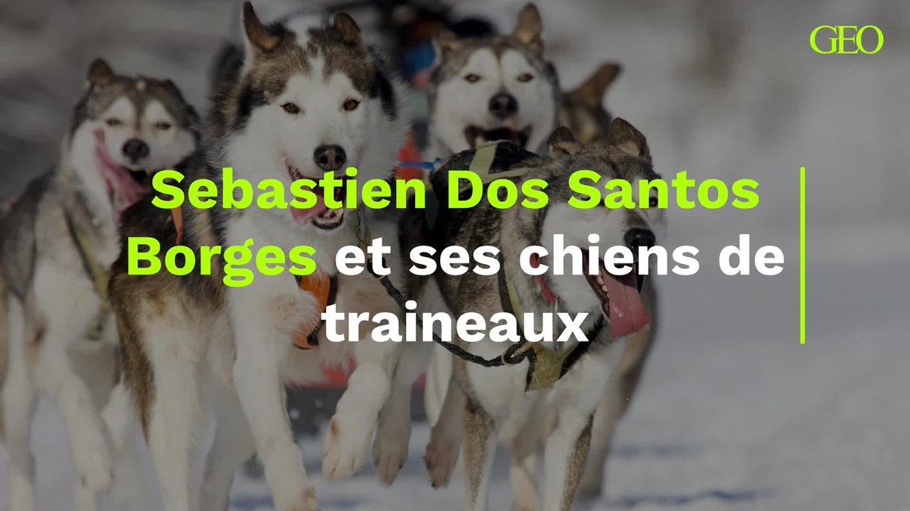 Sebastien Dos Santos Borges et ses chiens de traineaux