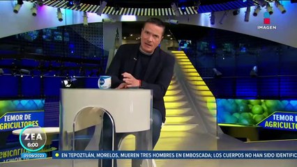 Cosecha de limón en Apatzingán, Michoacán, continúa suspendida