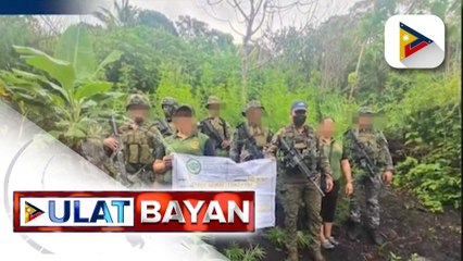 Dalawang plantasyon ng marijuana sa Kalinga, sinalakay at sinunog ng PDEA
