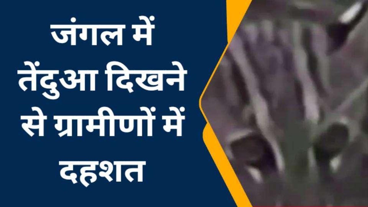 मुजफ्फरनगर: गांव में घूम रही 'तेंदुआ फैमिल...
