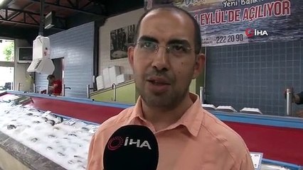 Av Yasağının Kalkmasıyla Balık Sezonu Açıldı