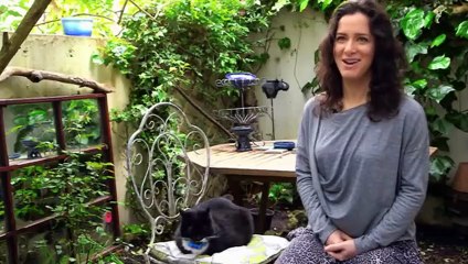 Bébé paresseux a le hoquet - ZAPPING SAUVAGE 42