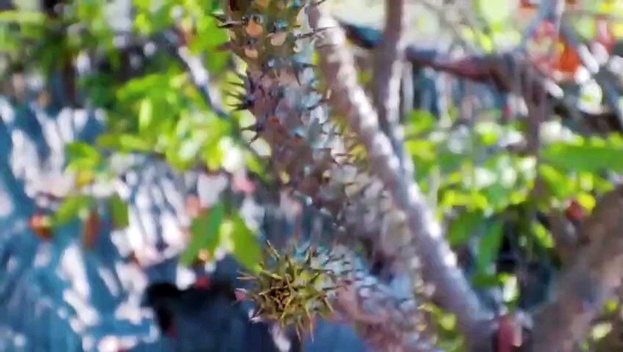 Choses Que Vous Verrez Pour La 1ère Fois De Votre Vie