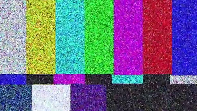 Quand Les Animaux S'attaquent Au Mauvais Adversaire !