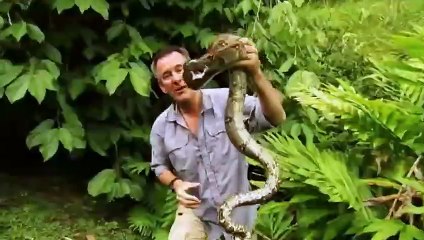 Serpent contre journaliste ! - ZAPPING SAUVAGE 22