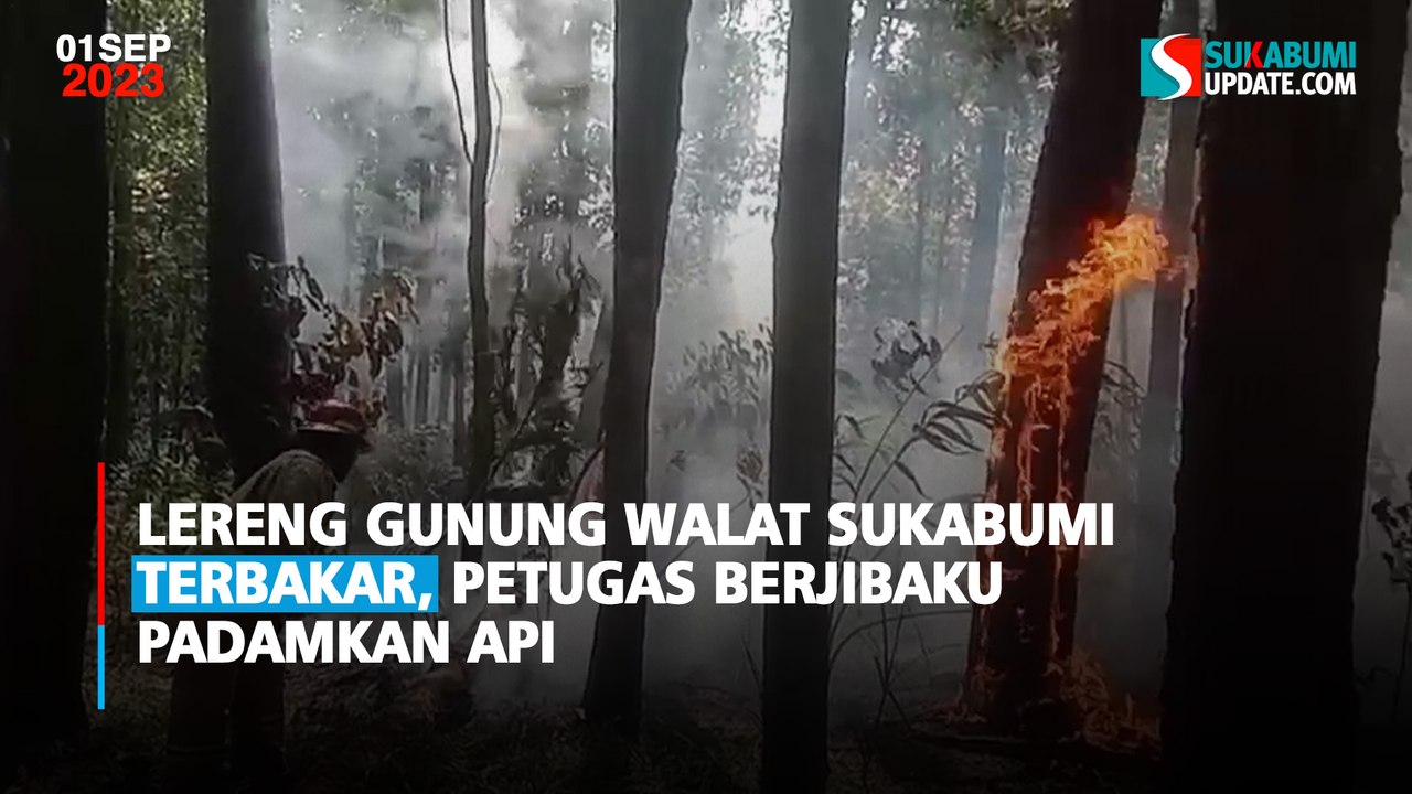 Lereng Gunung Walat Sukabumi Terbakar, Petugas Berjibaku Padamkan Api