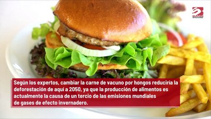 Las hamburguesas de hongos podrían salvar el planeta