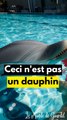 Les animaux enfin protéger des zoos ?