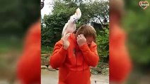 Angry Birds Attacking on People - Unexpected Birds Attack Caught on Camera   PETASTIC
