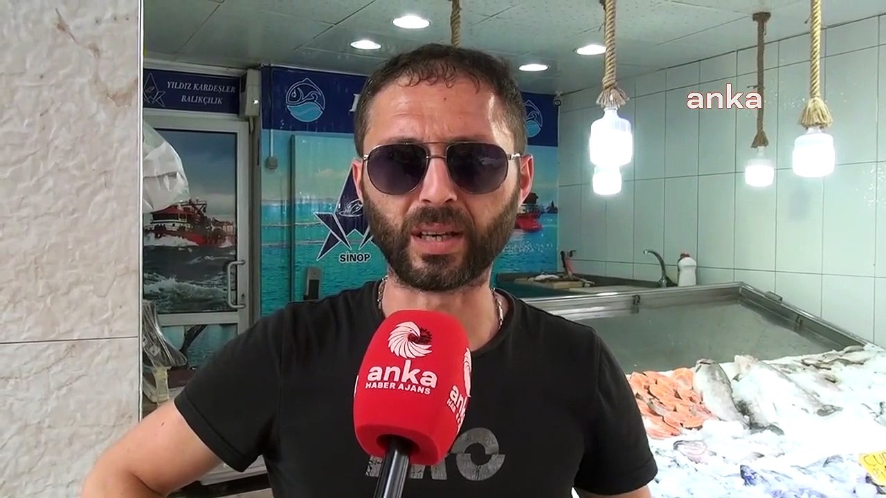 Sinoplu Balıkçılar, Hamsiden Umutlu, Palamut Zayıf