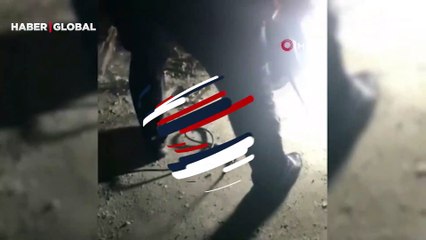 Yaramaz yavru köpek, darbeli matkapla böyle kurtarıldı