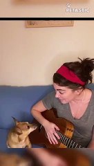 Casper The Singing Dog Sings   PETASTIC