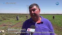 Nane ihtiyacını yüzde 75’ini karşılayan Nizip’te çiftçi mutsuz