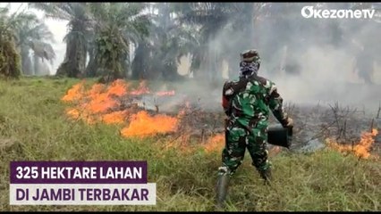 Hingga Akhir Agustus, Karhutla di Jambi Mencapai 325 Hektare