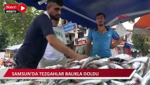 Samsun'da tezgahlar balıkla doldu
