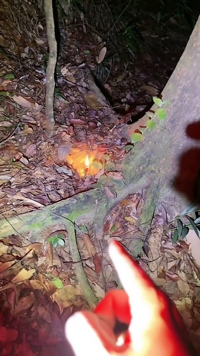 Paranormal activity ghost on camera part 206
