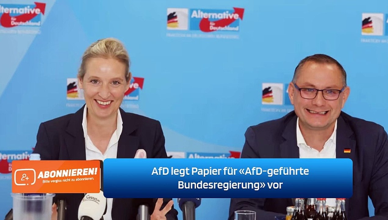 AfD legt Papier für «AfD-geführte Bundesregierung» vor