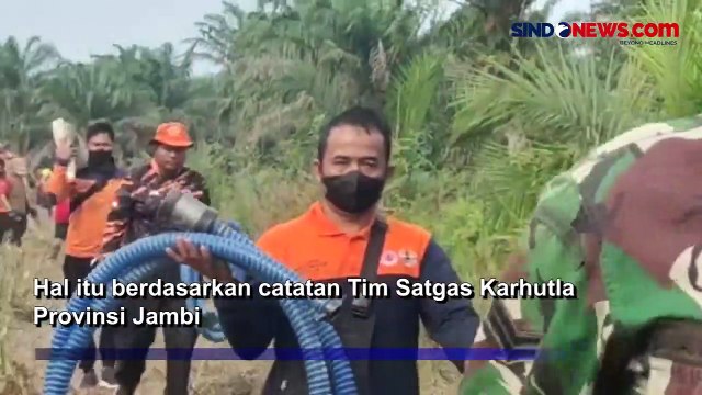 Total Lahan 325 Hektare Terbakar di Jambi, Penyebab Kebakaran karena Ulah Masyarakat