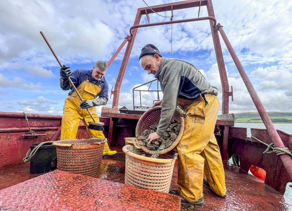 ‘Ask for natives’ call as the UK’s Native Oyster Season Opens