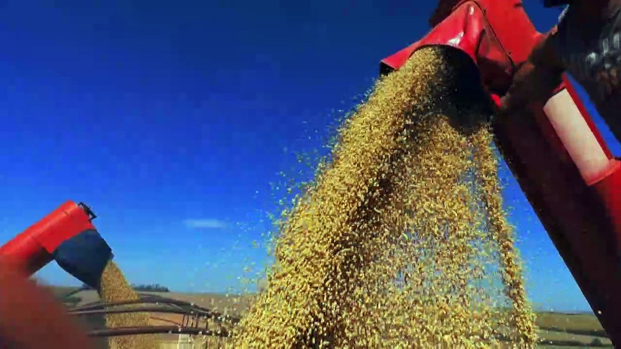 IBGE: PIB do Brasil cresce 0,9% no 2° trimestre