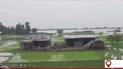 सुपौल: भाजपा नेता ने सरकार पर साधा निशान, कहा- तटबंध के अंदर हालात गंभीर, जल्द राहत की हो व्यवस्था