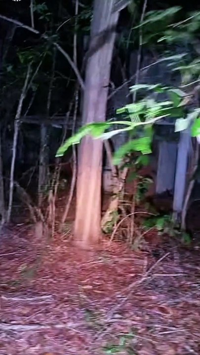 Paranormal activity ghost on camera part 209