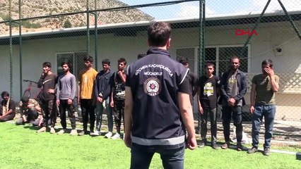 39 immigrants illégaux arrêtés dans le TIR à Amasya