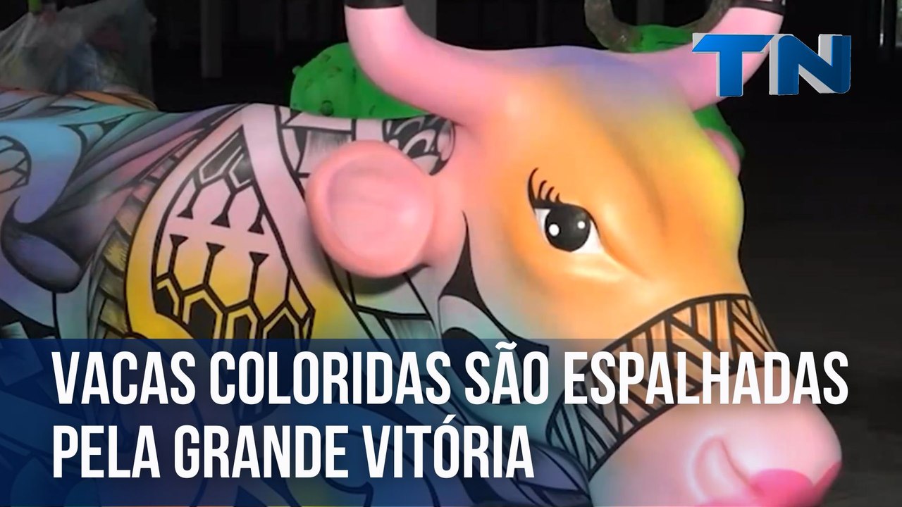 Vacas coloridas são espalhadas pela Grande Vitória