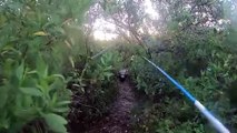 Ce pecheur se fait chasser par un alligator : moment terrifiant