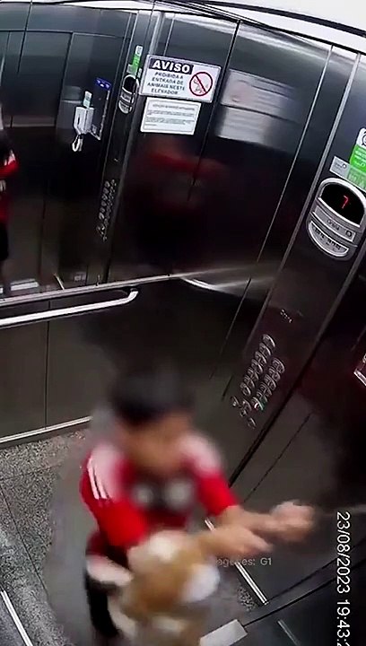 Cet enfant sauve son chien dont la laisse est coincée dans l'ascenseur