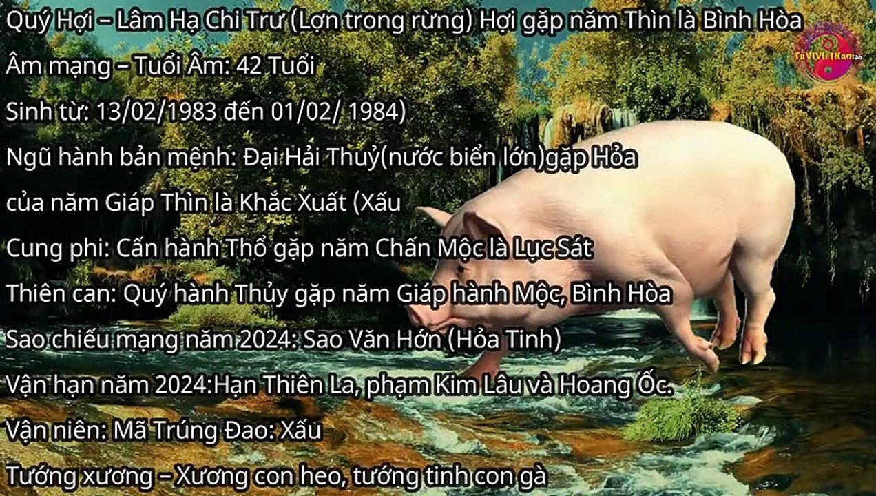 Xem tử vi tuổi Quý Hợi năm 2024 nam mạng đầy đủ và chi tiết nhất