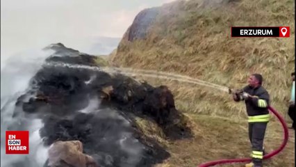 Erzurum’da 12 bin balya ot kül oldu
