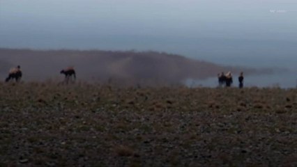 Expert Tips for Finding Sources of Water in the Desert